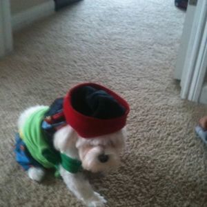 Meet your Posher, Edgar